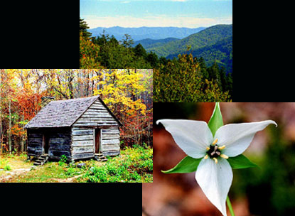 Smoky Mountains Rental Cabins in Wears Valley